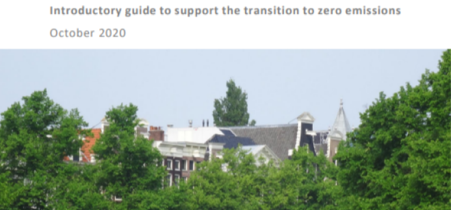 Low Emission Fuels and Vehicles for Road Freight 